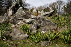 March 26, 2022: Senator Cappelletti joined Bridlewild Trail Hikes for a guided nature walk at Henry Botanic Garden located in Gladwyne in March 2022.