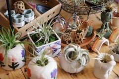 September 29, 2025: Spotlight in the 17th: Exploring Plant 4 Good in Ardmore