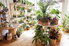 September 29, 2025: Spotlight in the 17th: Exploring Plant 4 Good in Ardmore