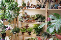 Spotlight in the 17th - Plant for Good