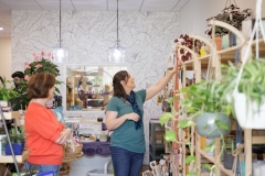 Spotlight in the 17th - Plant for Good