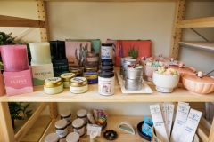 September 29, 2025: Spotlight in the 17th: Exploring Plant 4 Good in Ardmore