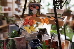 September 29, 2025: Spotlight in the 17th: Exploring Plant 4 Good in Ardmore