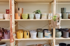 September 29, 2025: Spotlight in the 17th: Exploring Plant 4 Good in Ardmore