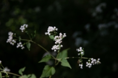 September 26, 2022: Senator Cappelletti visits the Riverbend Environmental Education Center.