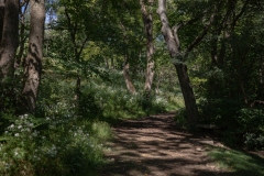 September 26, 2022: Senator Cappelletti visits the Riverbend Environmental Education Center.