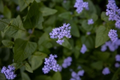 September 26, 2022: Senator Cappelletti visits the Riverbend Environmental Education Center.