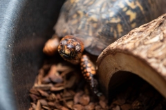 September 26, 2022: Senator Cappelletti visits the Riverbend Environmental Education Center.