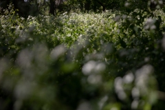 September 26, 2022: Senator Cappelletti visits the Riverbend Environmental Education Center.