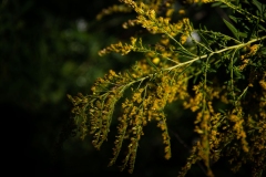 September 26, 2022: Senator Cappelletti visits the Riverbend Environmental Education Center.