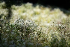 September 26, 2022: Senator Cappelletti visits the Riverbend Environmental Education Center.