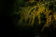 September 26, 2022: Senator Cappelletti visits the Riverbend Environmental Education Center.