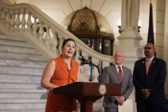 Road Salt Presser