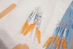 October 9, 2025: Senator Cappelletti Welcomes the Community to Annual Senior Fair