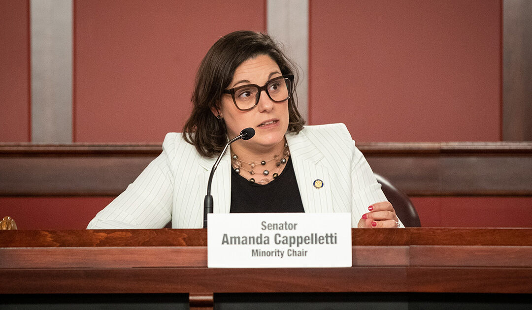 Senadora Amanda Cappelletti