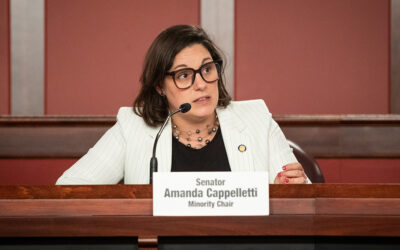 La senadora Amanda Cappelletti anuncia su asignación de comisiones para 2023-2024