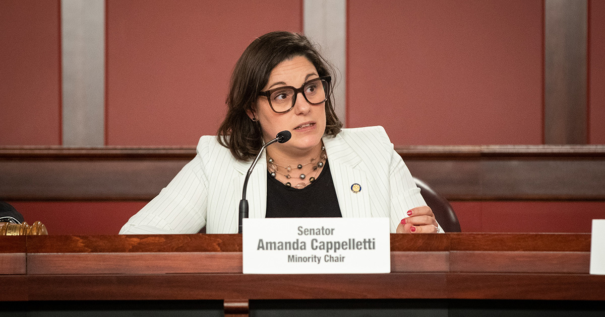 Senadora Amanda Cappelletti
