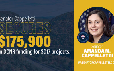 Senator Amanda M. Cappelletti announces grants for Community Parks, Recreation, and Environmental Projects