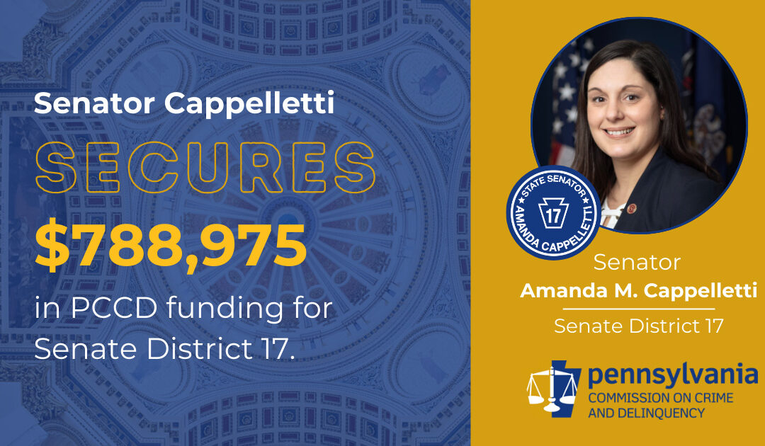 Senator Amanda M. Cappelletti Announces Over $780,000 in Funding for Community Safety and Family Services in District Seventeen