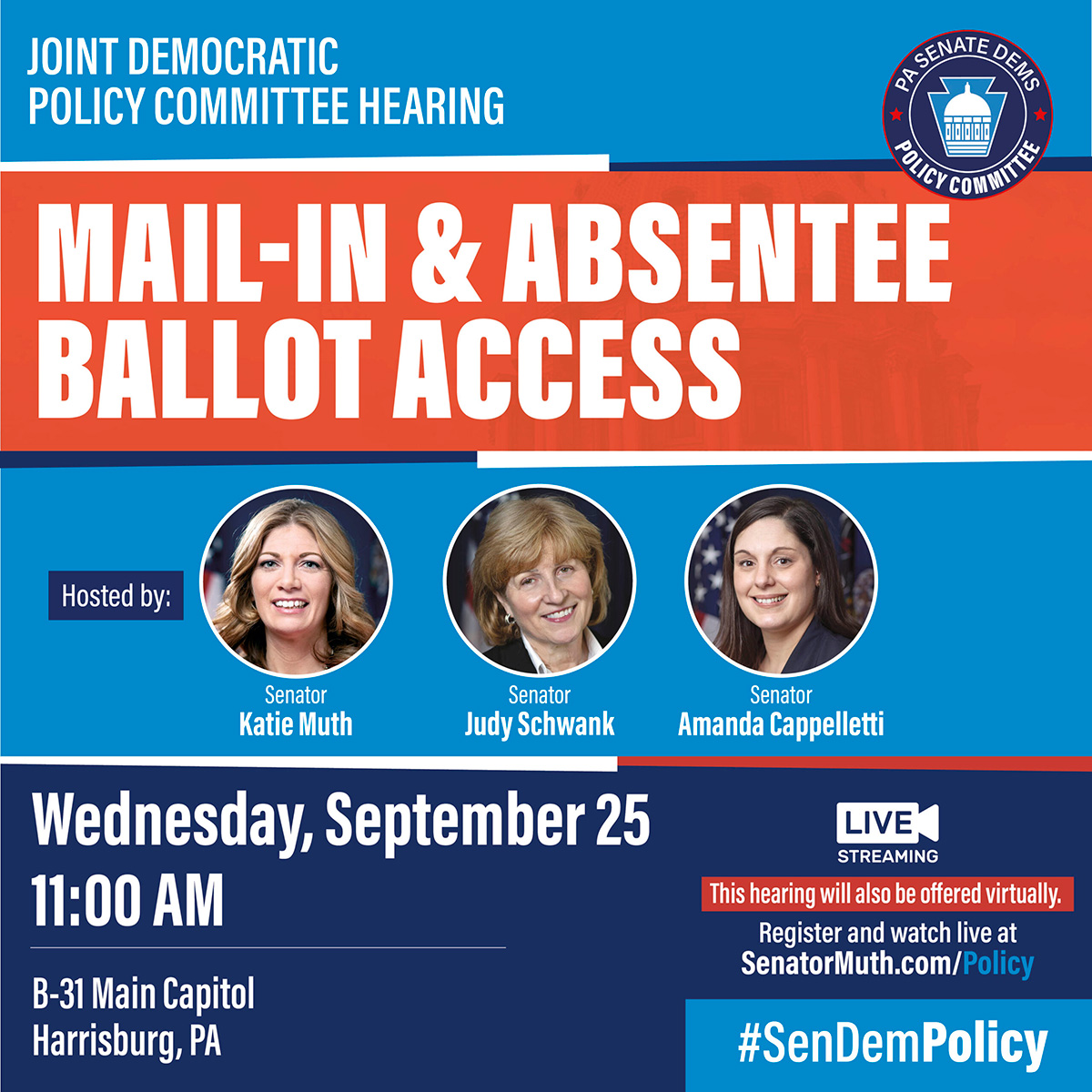 Policy Hearing: Mail-In & Absentee Ballot Access