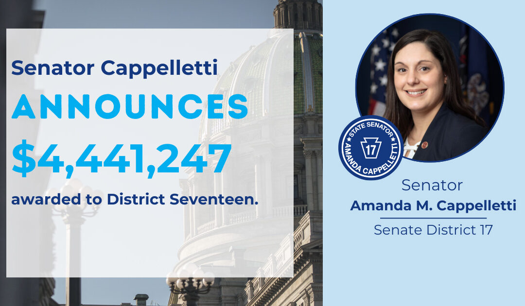 Senator Amanda M. Cappelletti announces over $4 million in LSA grants awarded to District Seventeen