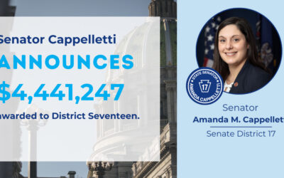 Senator Amanda M. Cappelletti Announces over $4 Million in LSA Grants Awarded to District Seventeen