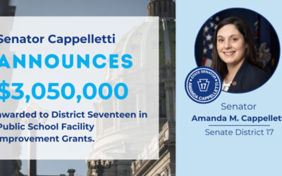 Senator Amanda M. Cappelletti Announces Public School Facility Improvement Grant Awards in District Seventeen