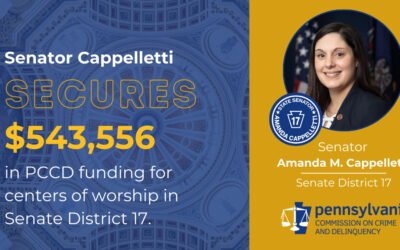 Senator Amanda M. Cappelletti Announces Security Grant Awards in District Seventeen