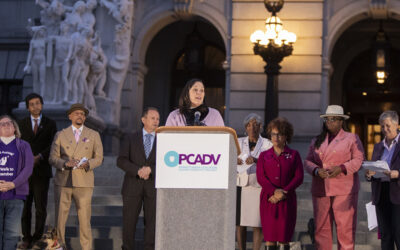 Senator Cappelletti Secures More Than $1.6 Million in Funding for Violence Intervention and Prevention Programming