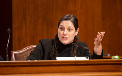 Senator Amanda Cappelletti Responds to Data Center Proposals in District 17