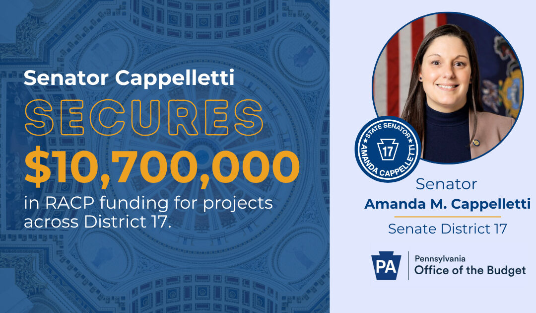 Senator Amanda M. Cappelletti, House Partners, Announce $10 Million in RACP Awards for Projects in Senate District 17