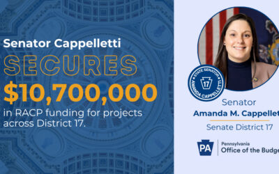 Senator Amanda M. Cappelletti, House Partners, Announce $10 Million in RACP Awards for Projects in Senate District 17