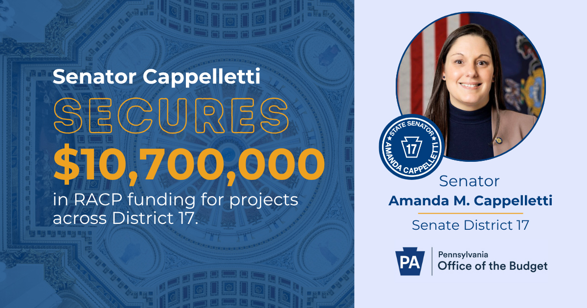 Senator Amanda M. Cappelletti, House Partners, Announce $10 Million in RACP Awards for Projects in Senate District 17