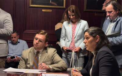 Senator Cappelletti Responds to State Budget Passage, Reflects on Wins and Shortcomings
