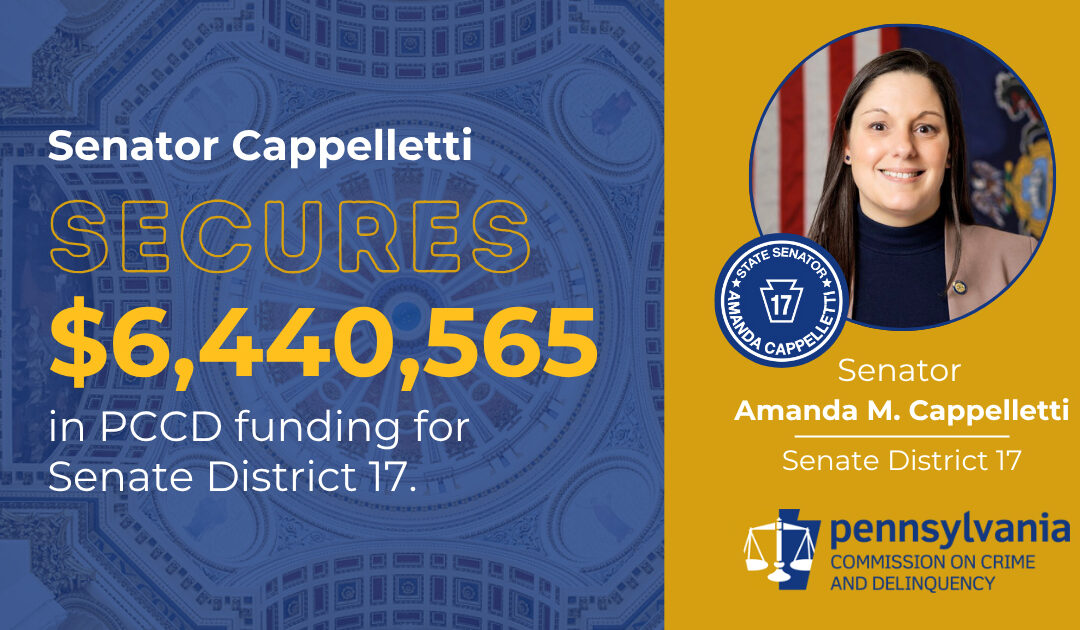 Senator Amanda M. Cappelletti Announces $6,440,565 in Funding for Robust Victim Services Programming