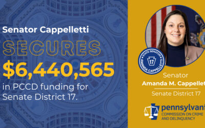 Senator Amanda M. Cappelletti Announces $6,440,565 in Funding for Robust Victim Services Programming