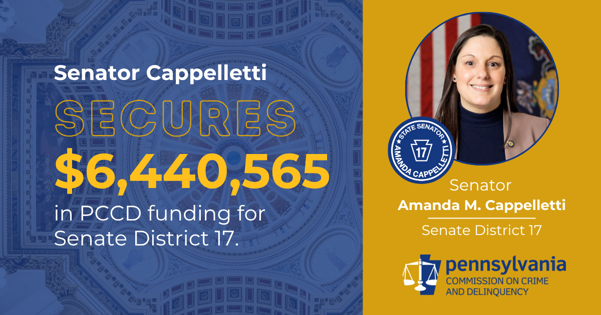 Senator Amanda M. Cappelletti Announces $6,440,565 in Funding for Robust Victim Services Programming